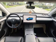 Tesla Model Y 2023 Rear-Wheel Drive - ფოტო 6