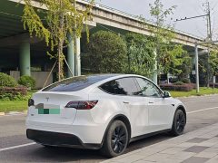 Tesla Model Y 2023 Rear-Wheel Drive - ფოტო 8