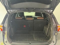 BYD Tang New Energy DM-i 112KM Premium Edition - ფოტო 8