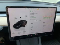 Tesla Model 3 Rear-Wheel Drive - ფოტო 12