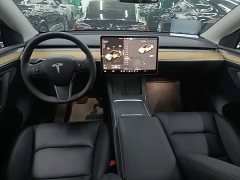 Tesla Model Y Rear-Wheel Drive - ფოტო 9