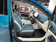 ORA Good Cat 430km Luxury - ფოტო 19