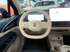 ORA Good Cat 430km Luxury - ფოტო 6