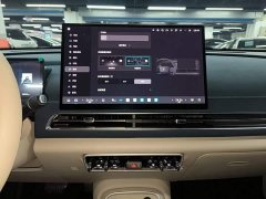 ORA Good Cat 430km Luxury - ფოტო 8
