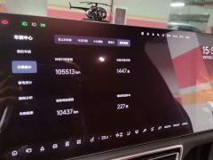 Li Auto L9 Max - ფოტო 11