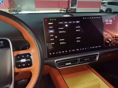Li Auto L9 Max - ფოტო 12
