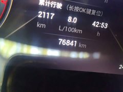 GAC Aion GS4 PLUS 270T Automatic Starry River Edition - ფოტო 4