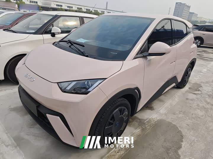 BYD Seagull Glory Edition 305km Vitality Version - ავტომობილი ჩინეთიდან