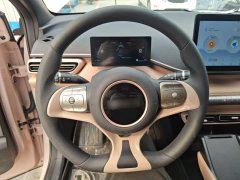 BYD Seagull Glory Edition 305km Vitality Version - ფოტო 10