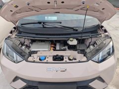 BYD Seagull Glory Edition 305km Vitality Version - ფოტო 19