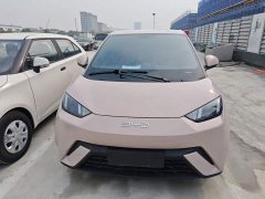 BYD Seagull Glory Edition 305km Vitality Version - ფოტო 2