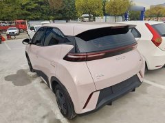 BYD Seagull Glory Edition 305km Vitality Version - ფოტო 4