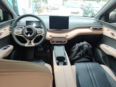 BYD Seagull Glory Edition 305km Vitality Version - ფოტო 9