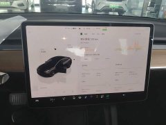 Tesla Model 3 2022 Rear-Wheel Drive - ფოტო 12