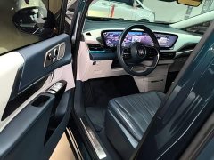 Buick Century 2.0T Four-Seater Private Edition - ფოტო 15