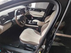 BYD Qin PLUS Glory Edition DM-i 55KM Leading - ფოტო 20