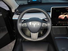 Tesla Model Y Rear-Wheel Drive - ფოტო 10