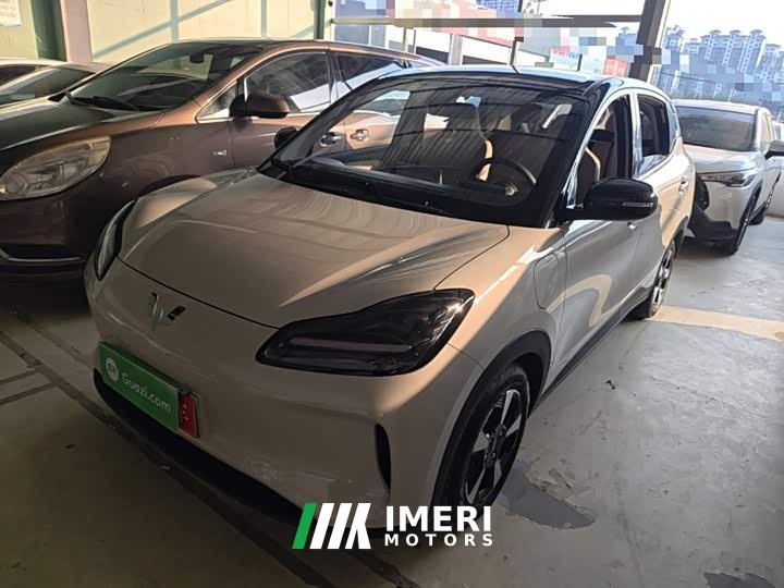 Wuling Binguo PLUS 330km 5-Seater