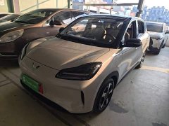 Wuling Binguo PLUS 2024 330km 5-Seater - ფოტო 1