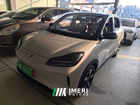 2025 Wuling Binguo PLUS 2024 330km 5-Seater - ავტომობილი ჩინეთიდან