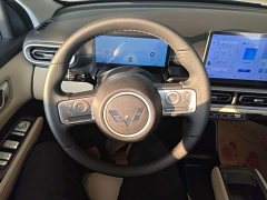 Wuling Binguo PLUS 2024 330km 5-Seater - ფოტო 10