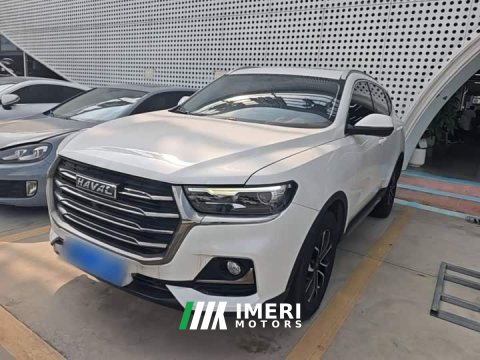 2022 Haval H6 2021 National Trend Edition 1.5T Automatic Urban Version - ავტომობილი ჩინეთიდან