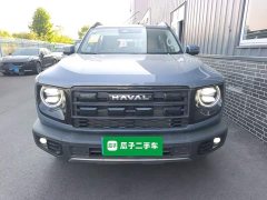 Great Wall Dachshund 2026 1.5T DCT Border Collie Edition - ფოტო 2