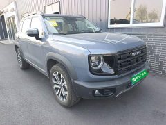 Great Wall Dachshund 2026 1.5T DCT Border Collie Edition - ფოტო 3