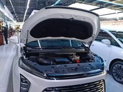 Buick GL8 Luxe Smart Comfort Edition - ფოტო 19