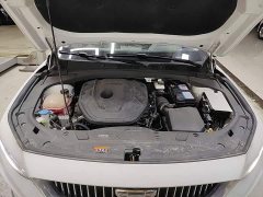 Geely Xingrui 2.0T Diesel Luxury - ფოტო 19