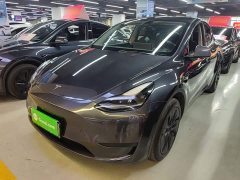 Tesla Model Y 2024 Rear-Wheel Drive - ფოტო 1