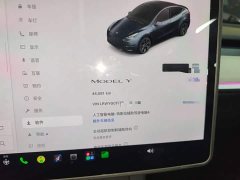Tesla Model Y 2024 Rear-Wheel Drive - ფოტო 11
