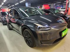 Tesla Model Y 2024 Rear-Wheel Drive - ფოტო 3