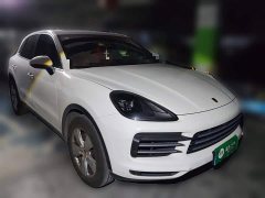 Porsche 2019 Cayenne 3.0T - ფოტო 20