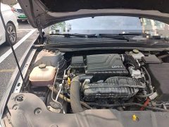BYD Qin Plus Glory Edition DM-i 120KM Exceed - ფოტო 19