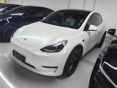 Tesla Model Y Long Range All-Wheel Drive 3D7 - ფოტო 1