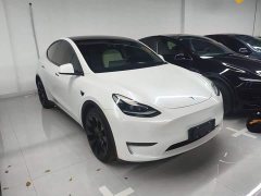 Tesla Model Y Long Range All-Wheel Drive 3D7 - ფოტო 3
