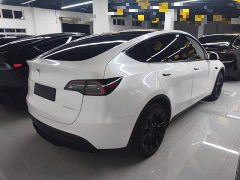 Tesla Model Y Long Range All-Wheel Drive 3D7 - ფოტო 6