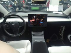 Tesla Model Y Long Range All-Wheel Drive 3D7 - ფოტო 9