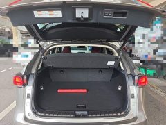 Lexus NX 2020 300h FWD Pinnacle Edition National VI - ფოტო 18