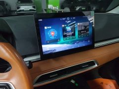BYD e2 2020 Upgraded High Range Luxury Edition - ფოტო 12
