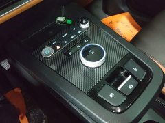 BYD e2 2020 Upgraded High Range Luxury Edition - ფოტო 13