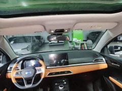 BYD e2 2020 Upgraded High Range Luxury Edition - ფოტო 17