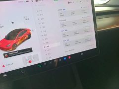 Tesla Model 3 Standard Range RWD Upgrade - ფოტო 11