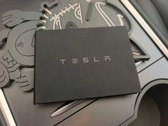 Tesla Model 3 Standard Range RWD Upgrade - ფოტო 8