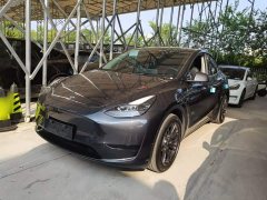 Tesla Model Y Rear-Wheel Drive - ფოტო 1