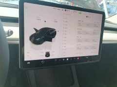 Tesla Model Y Rear-Wheel Drive - ფოტო 12