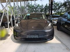 Tesla Model Y Rear-Wheel Drive - ფოტო 2