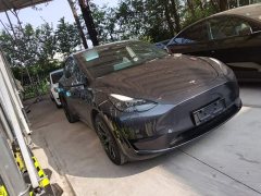 Tesla Model Y Rear-Wheel Drive - ფოტო 3