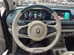 ORA Good Cat 401km Standard Range Deluxe LFP - ფოტო 10